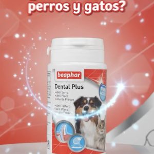dental liquid beaphar