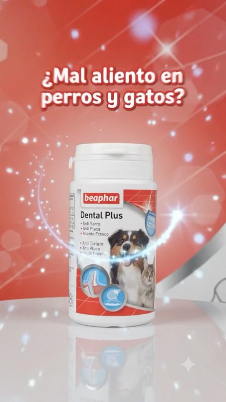 bote beaphar dental plus polvos  75g